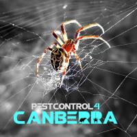 Spider Control Canberra image 5